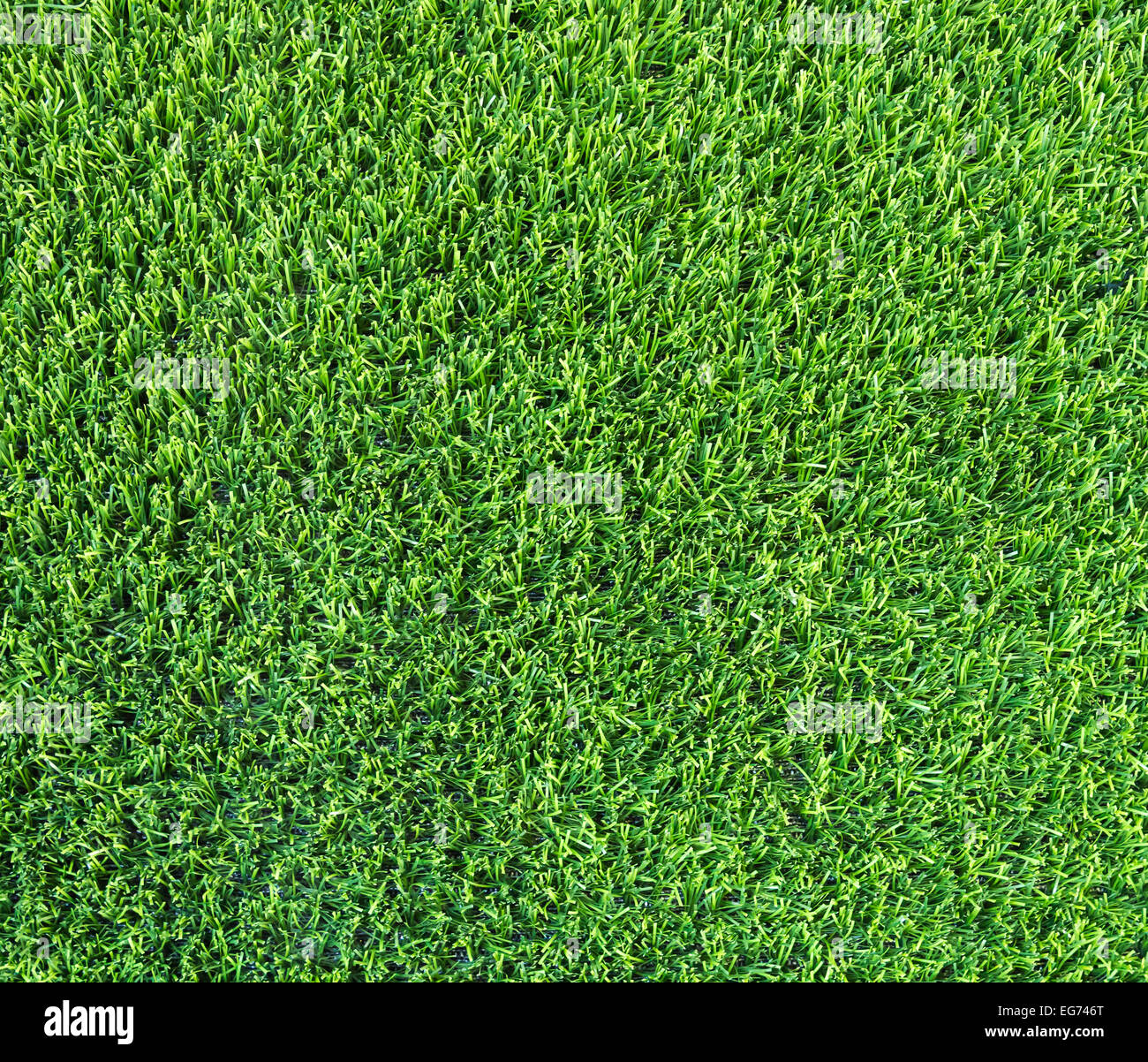 Artificial grass of the indoor football stadium. Stock Photo