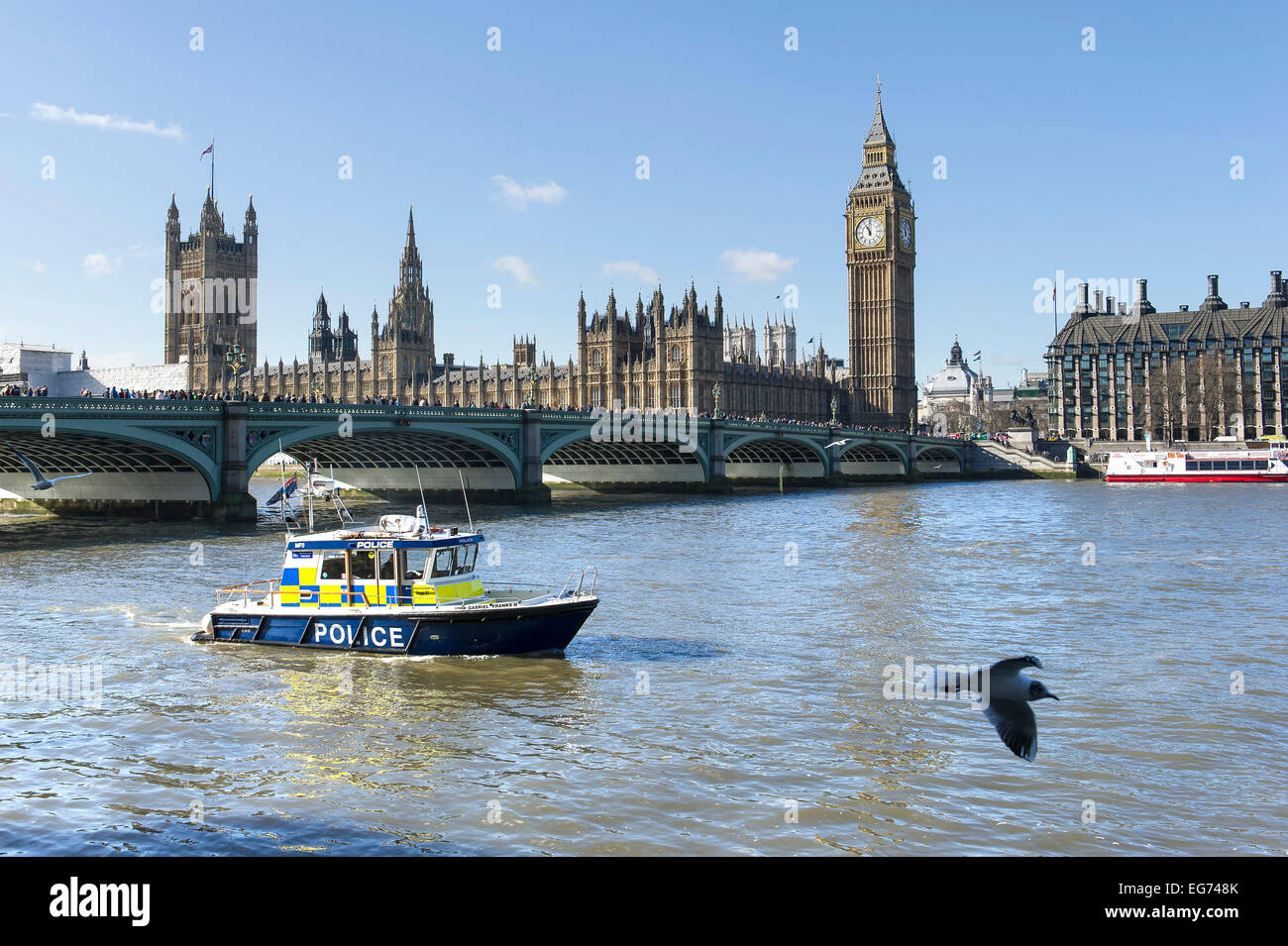 A Metropolitan Police fast patrol vessel on the River Thames near Westminster Bridge. Stock Photo