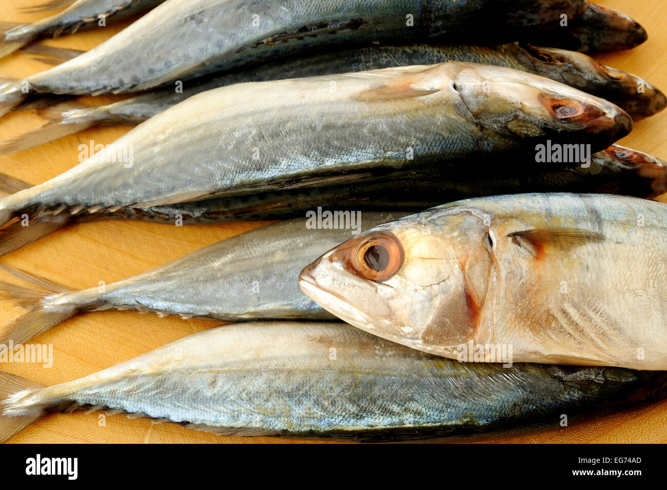 salted mackerel fish on wooden board Stock Photo Alamy