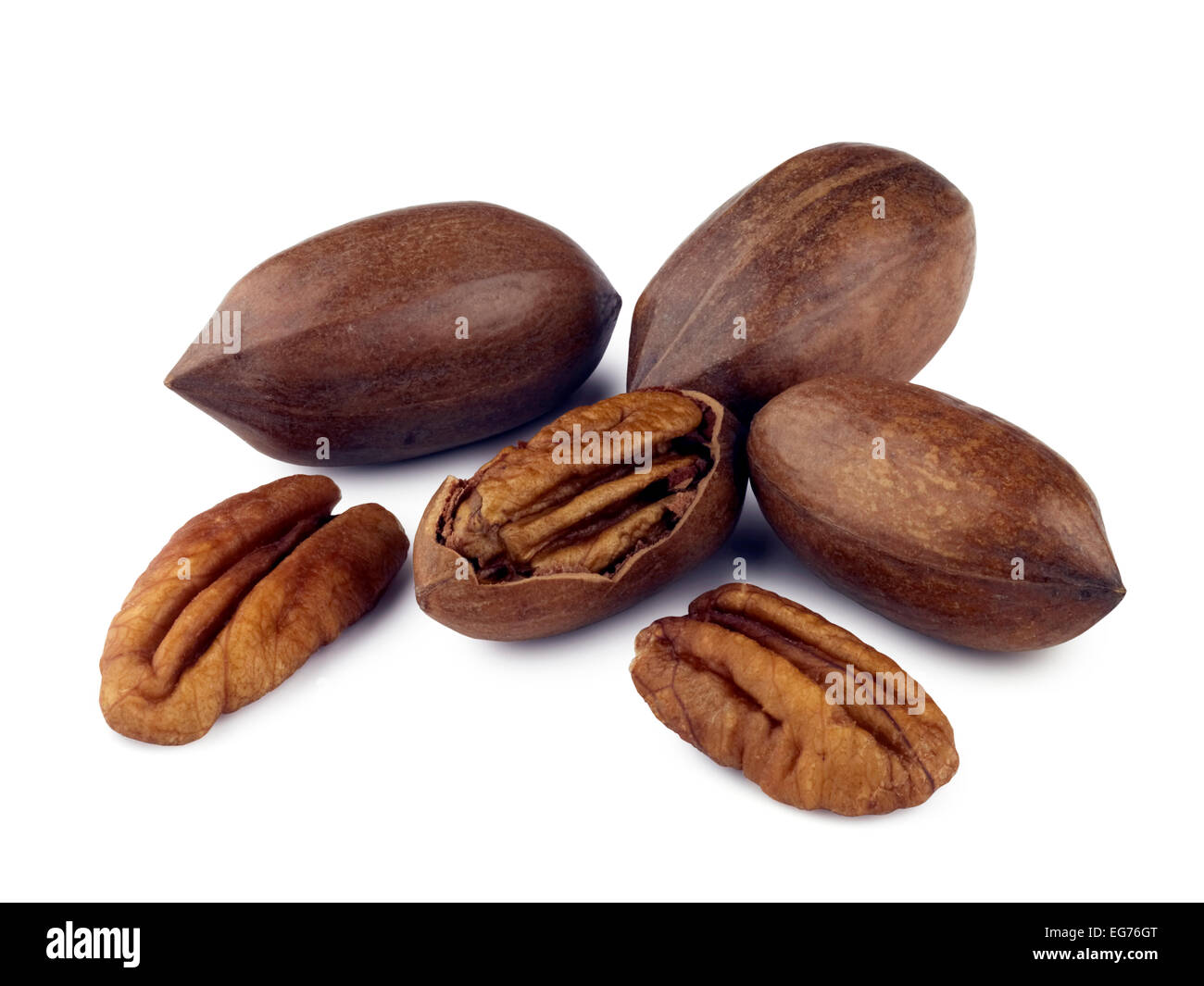 Pecan nuts Cut Out Stock Images & Pictures Alamy