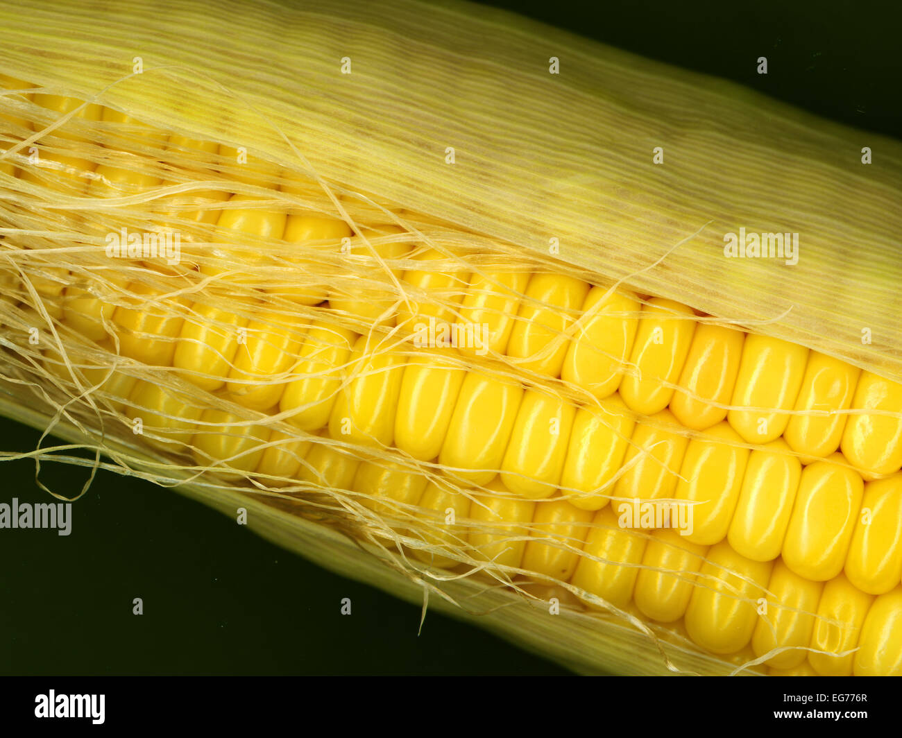 Corn cop against black background Stock Photo Alamy