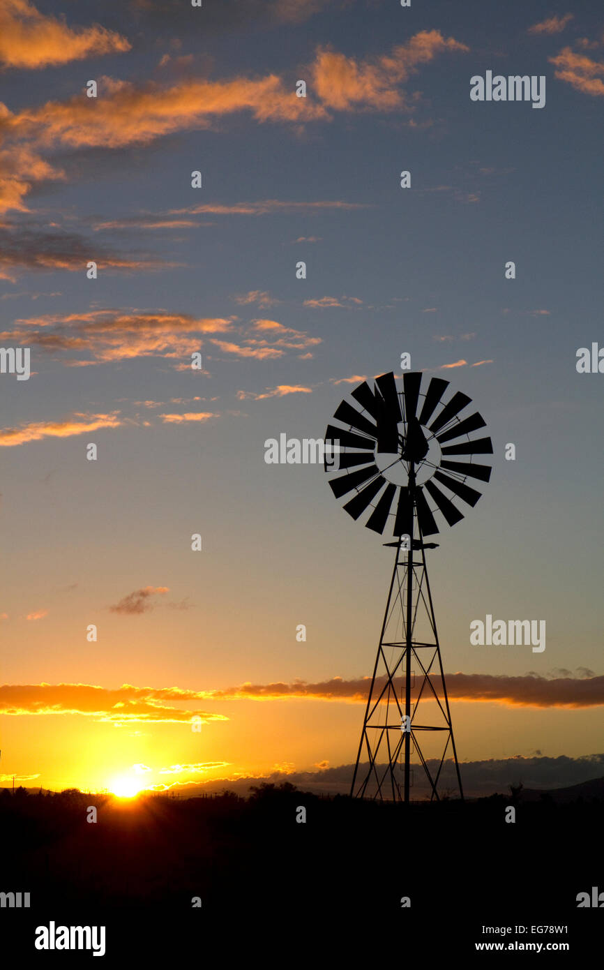 Windmill at sunset near Wilcox, Arizona, USA. Stock Photo