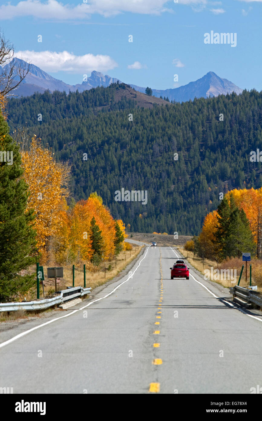 Trees in autumn color along Highway 75 near Ketchum, Idaho, USA. Stock Photo