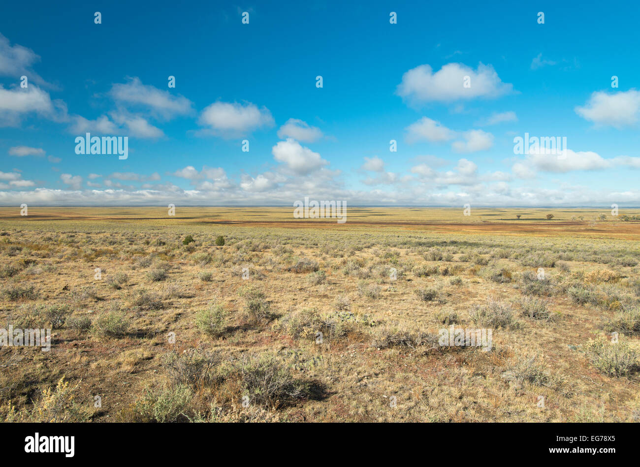 The Great Plains, today - An endless view of the sagebrush flats, Colorado Stock Photo
