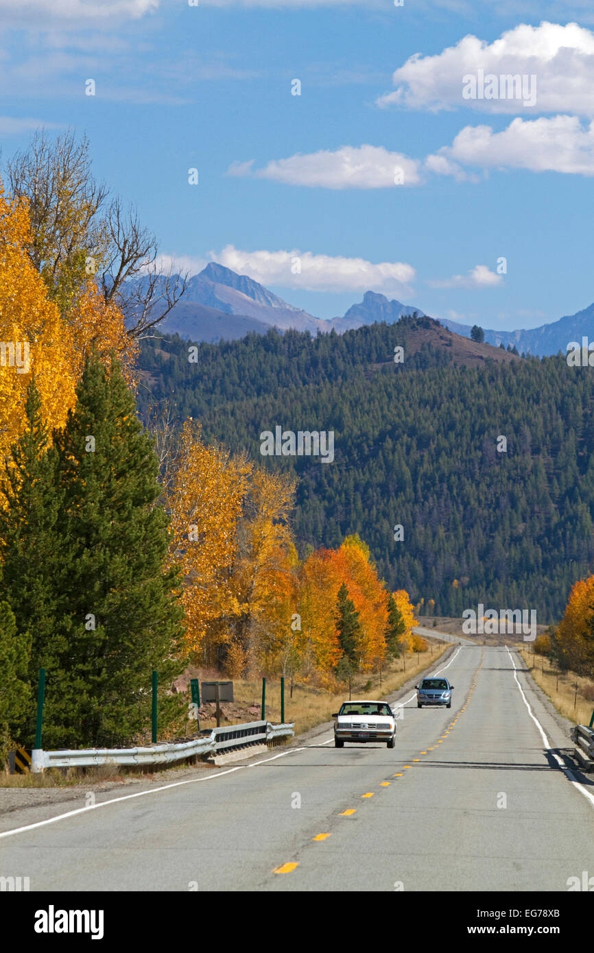 Trees in autumn color along Highway 75 near Ketchum, Idaho, USA. Stock Photo