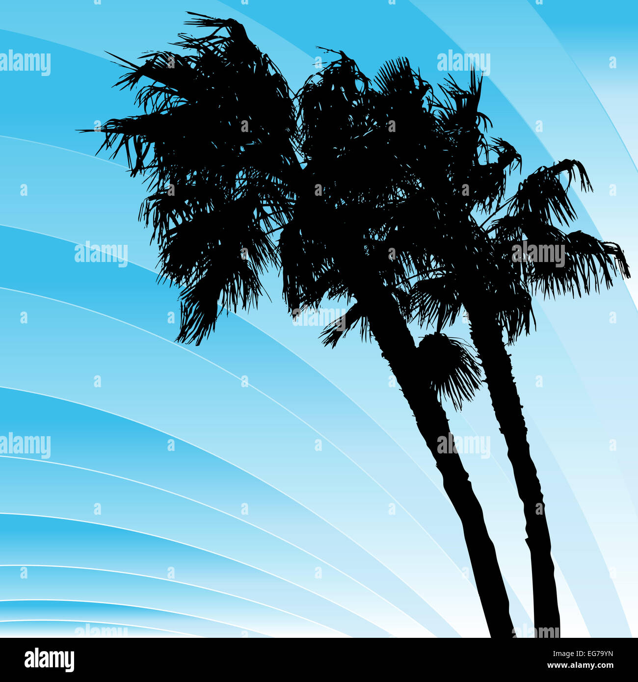 An image of a palms trees bending in the wind Stock Photo Alamy