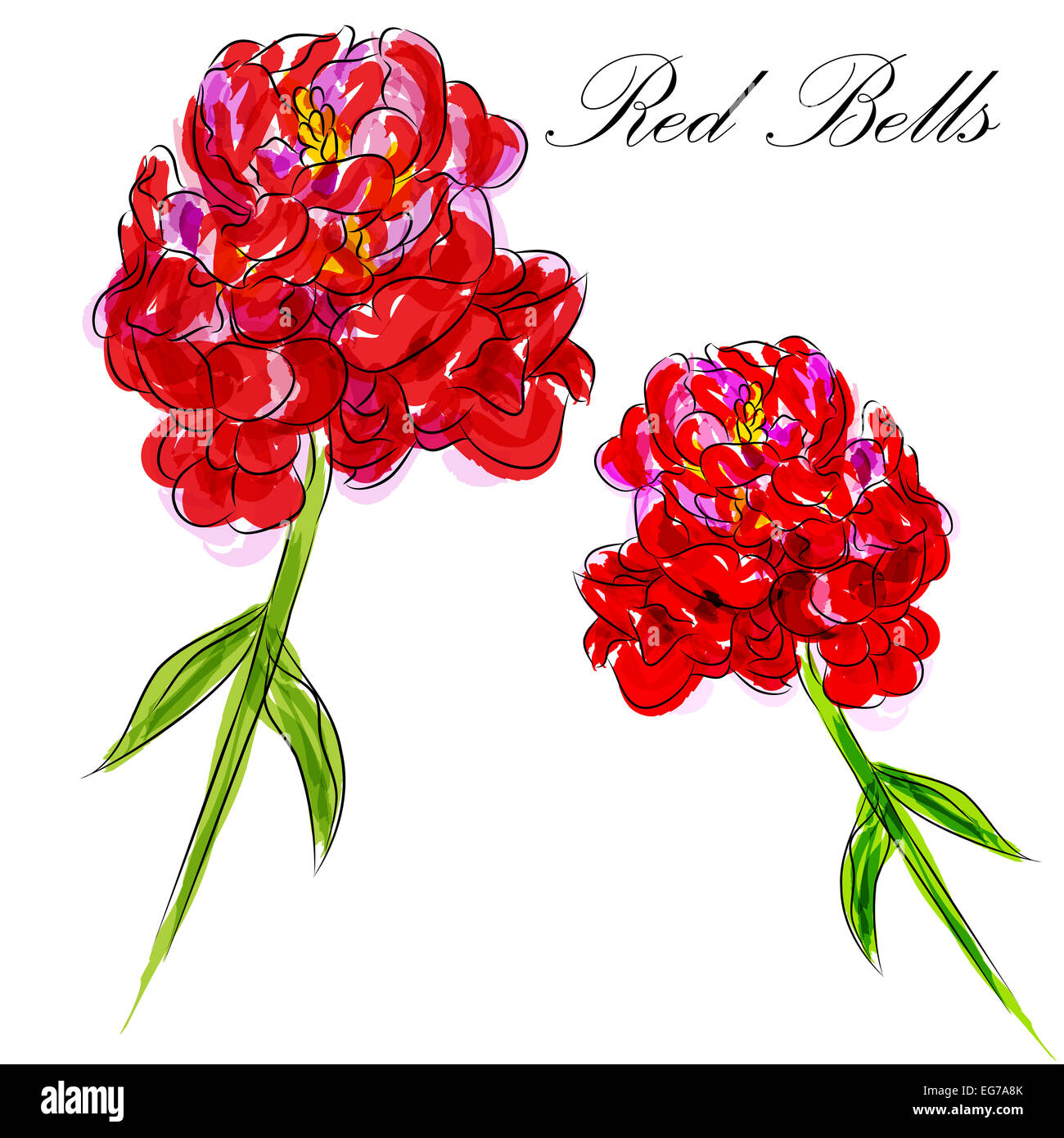 An image of a red bells flower Stock Photo Alamy