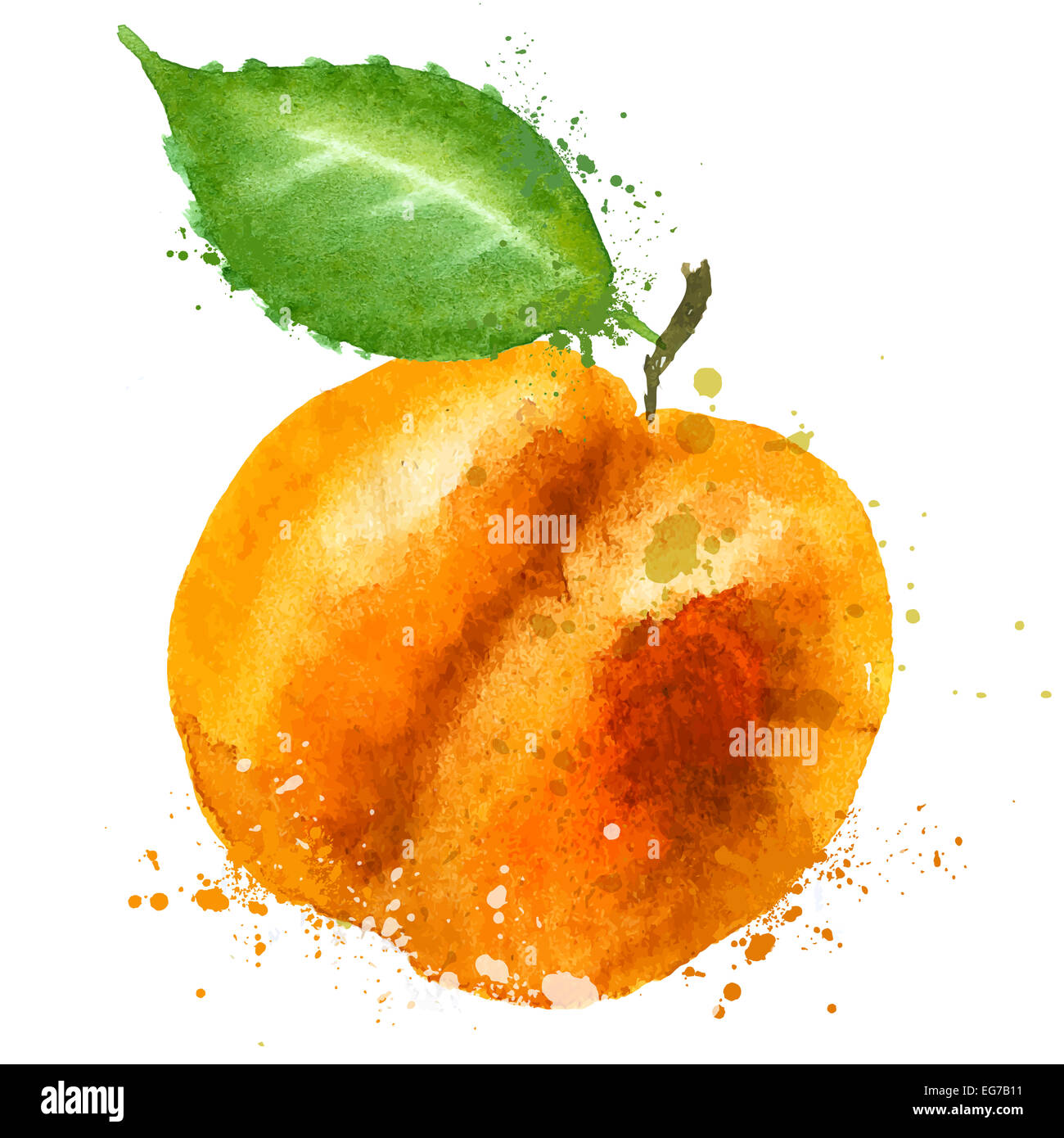 Watercolor fruit hi-res stock photography and images - Alamy