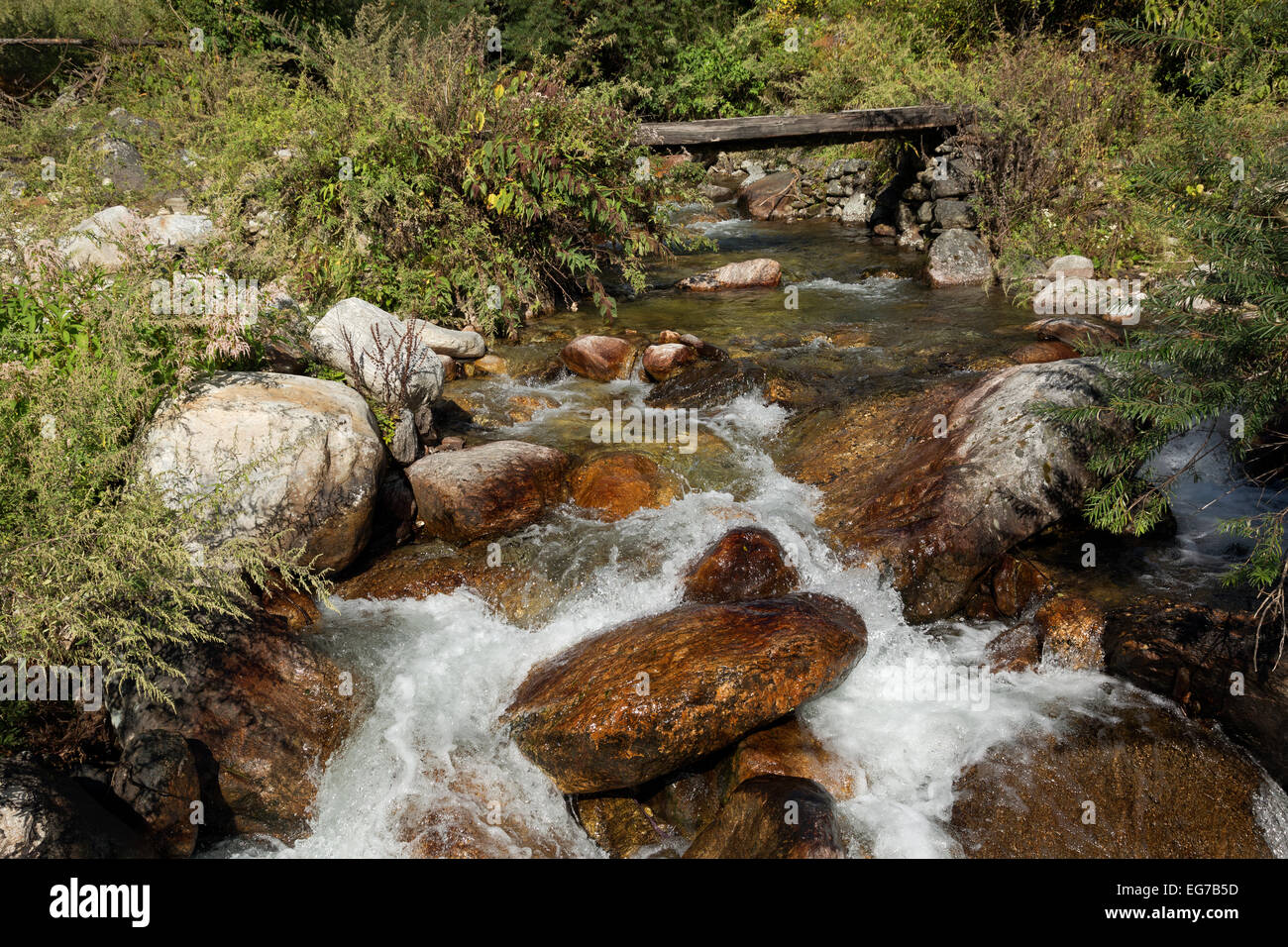 BU00151-00...BHUTAN - A small side creek near its confluence with the Paro Chhu (River). Stock Photo
