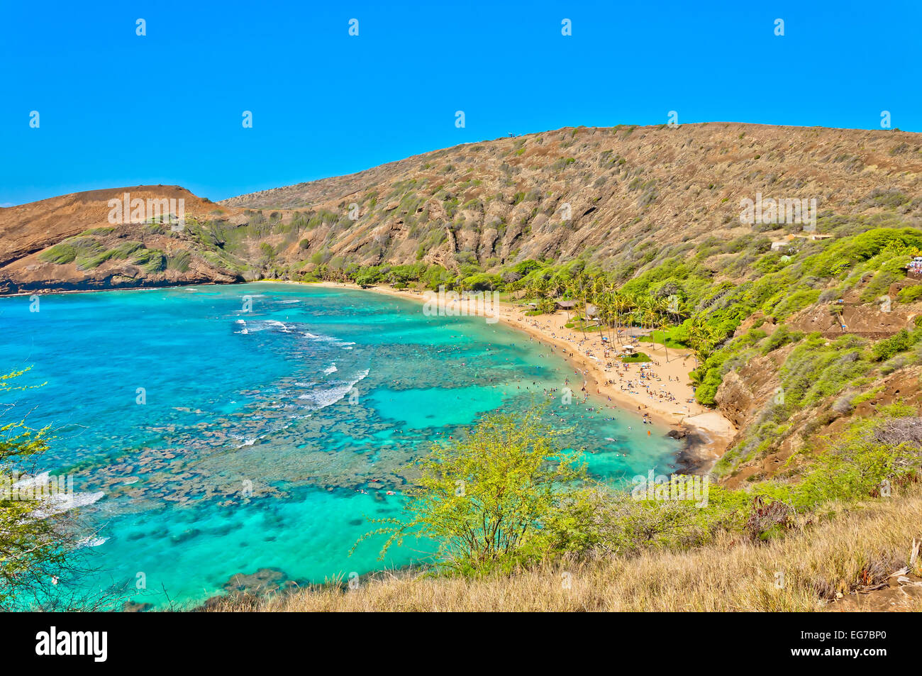 day view of snorkeling tropical paradise Hanauma bay in Oahu, Hawaii Stock Photo Alamy