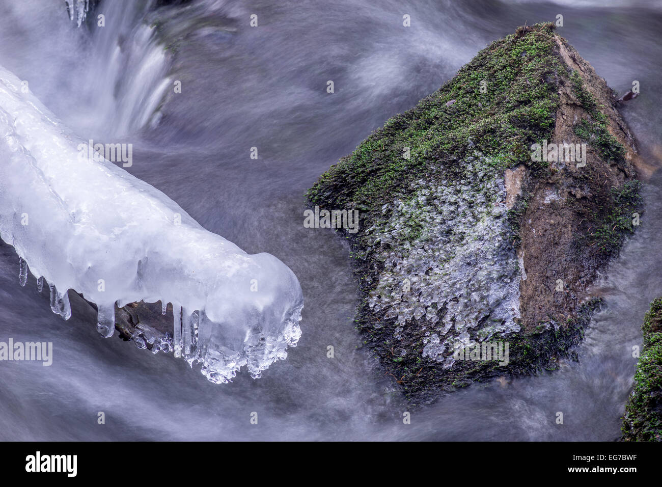 Icicles on a branch and mossy boulder in flowing water winter Stock Photo