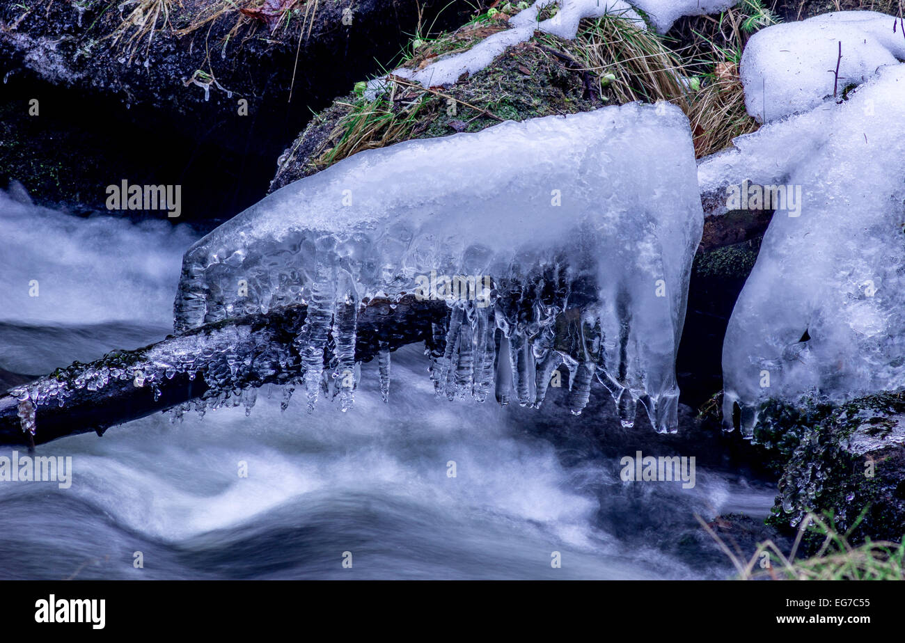 Icicles on a branch in flowing water winter Stock Photo