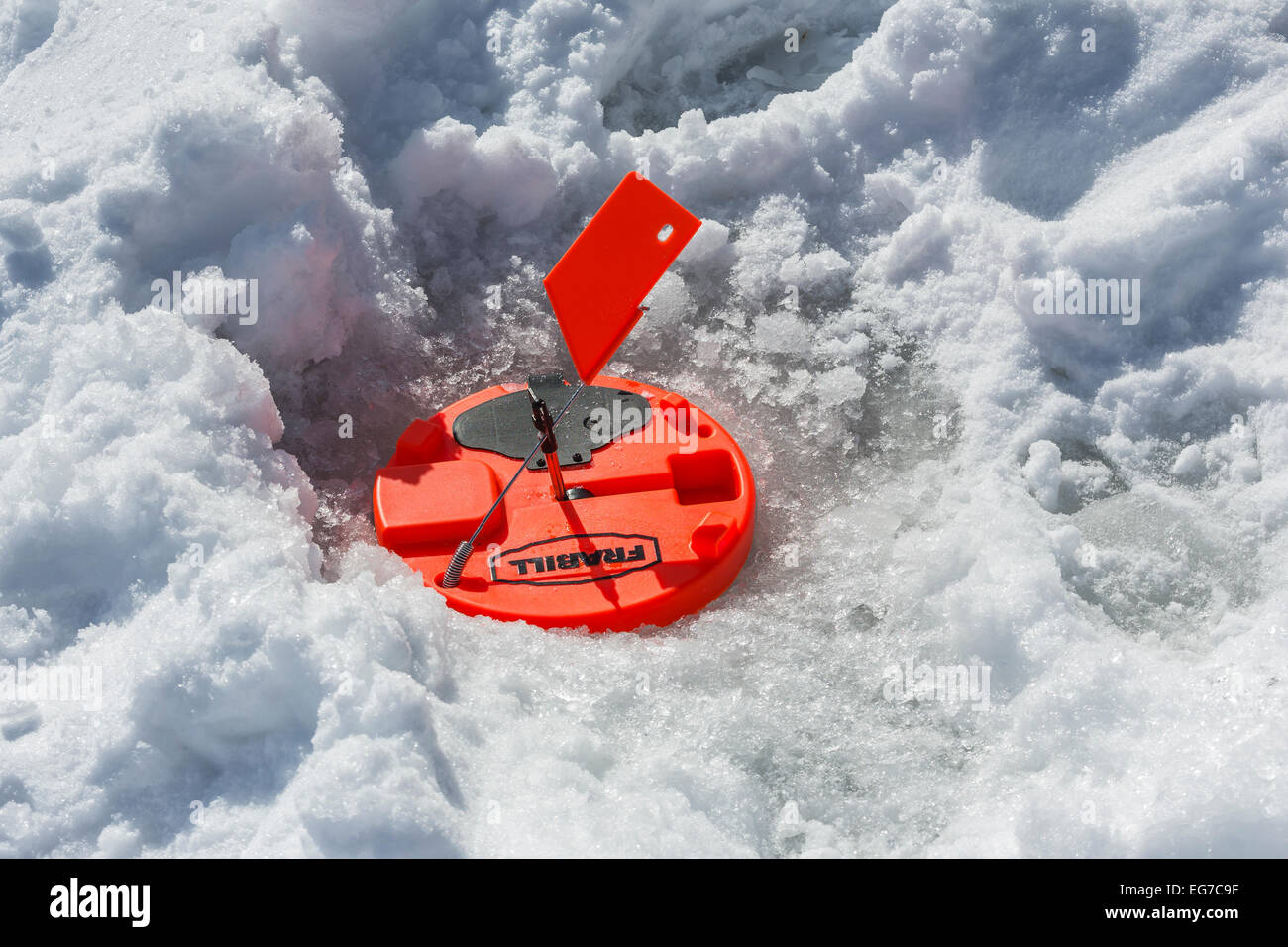 Tip-up with flag while ice fishing for Northern Pike on a lake in central  Michigan, USA Stock Photo - Alamy