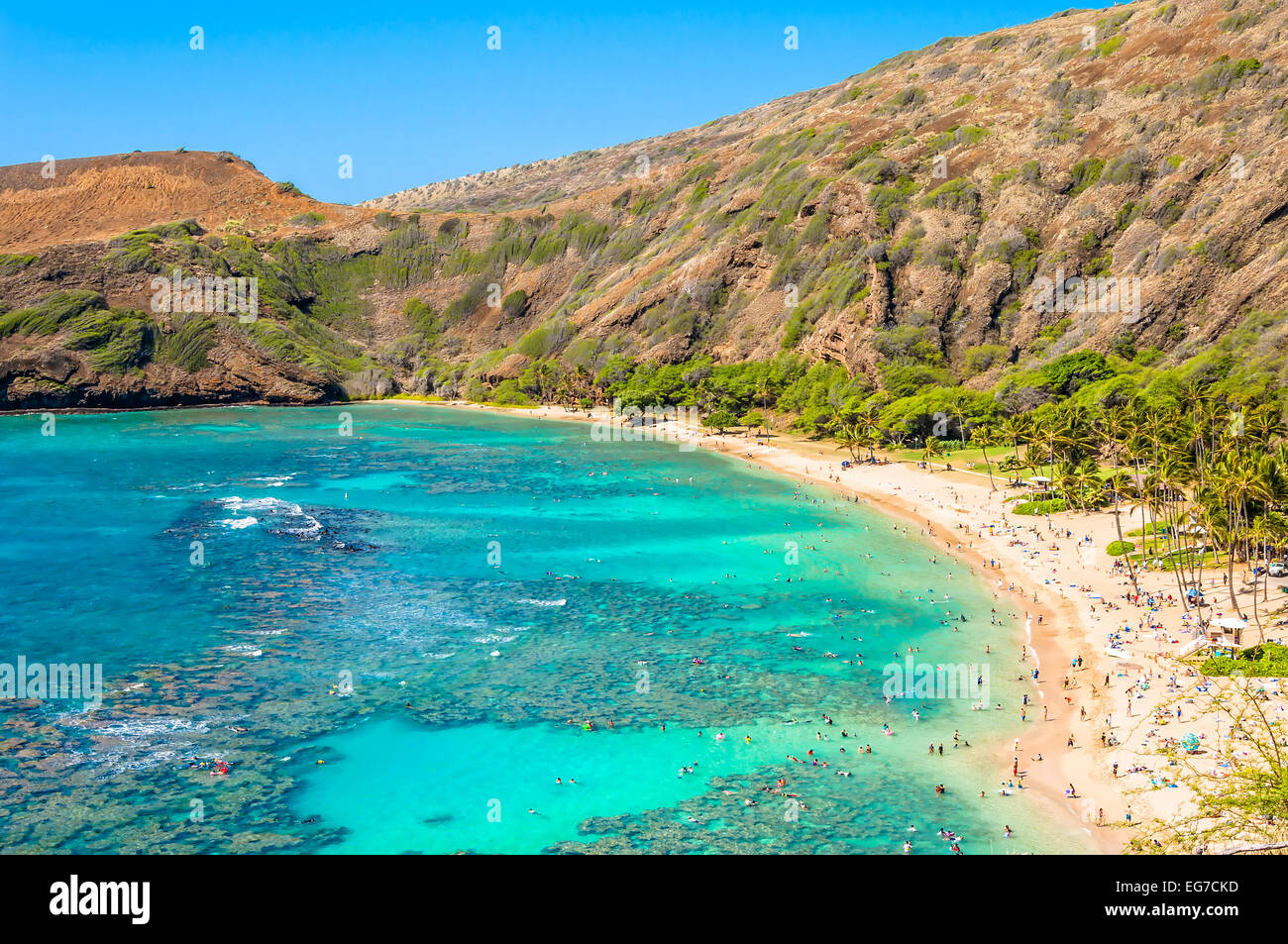 day view of snorkeling tropical paradise Hanauma bay in Oahu, Hawaii