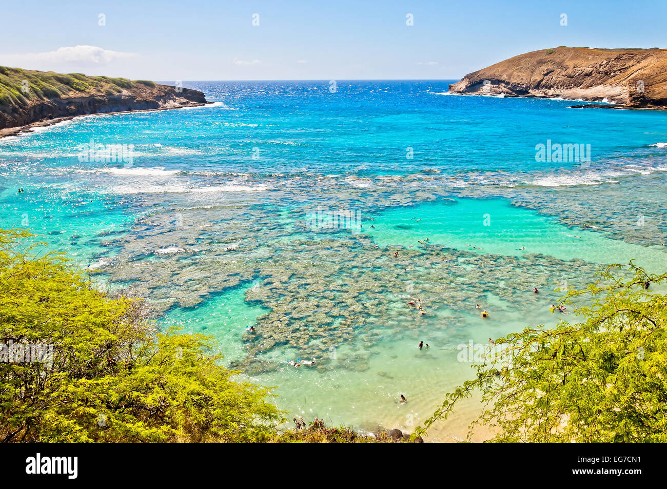 day view of snorkeling tropical paradise Hanauma bay in Oahu, Hawaii