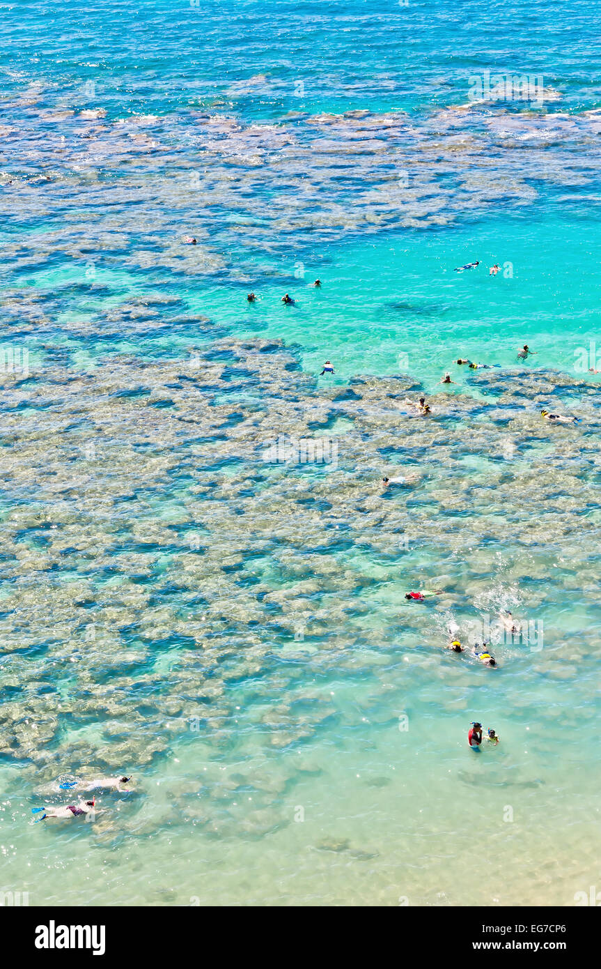 day view of snorkeling tropical paradise Hanauma bay in Oahu, Hawaii