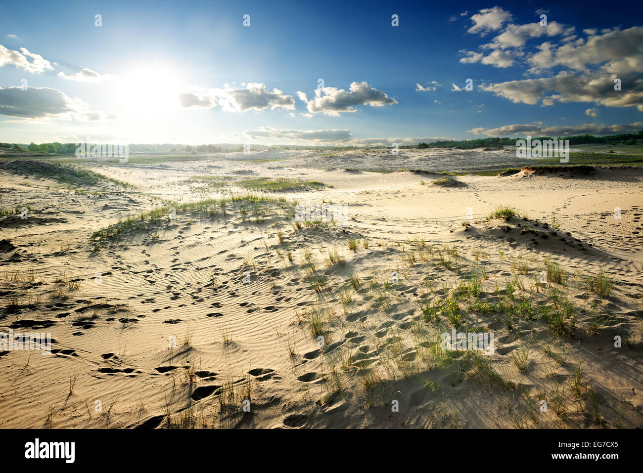 Footprints and green grass in the desert Stock Photo