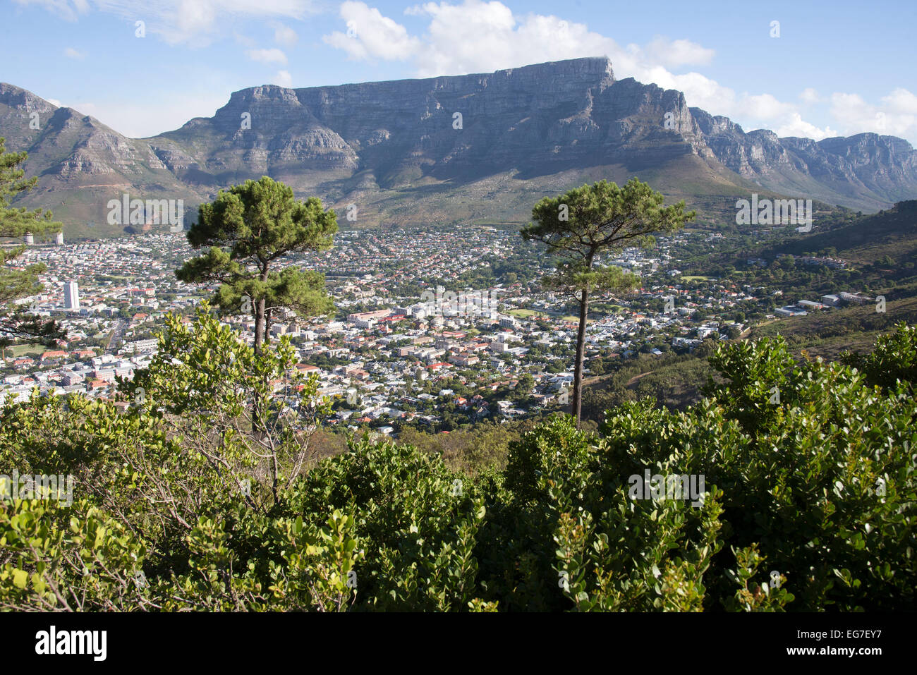 Table Mountain and the Twelve Apostles Cape Town South Africa seen from Signal Hill Stock Photo