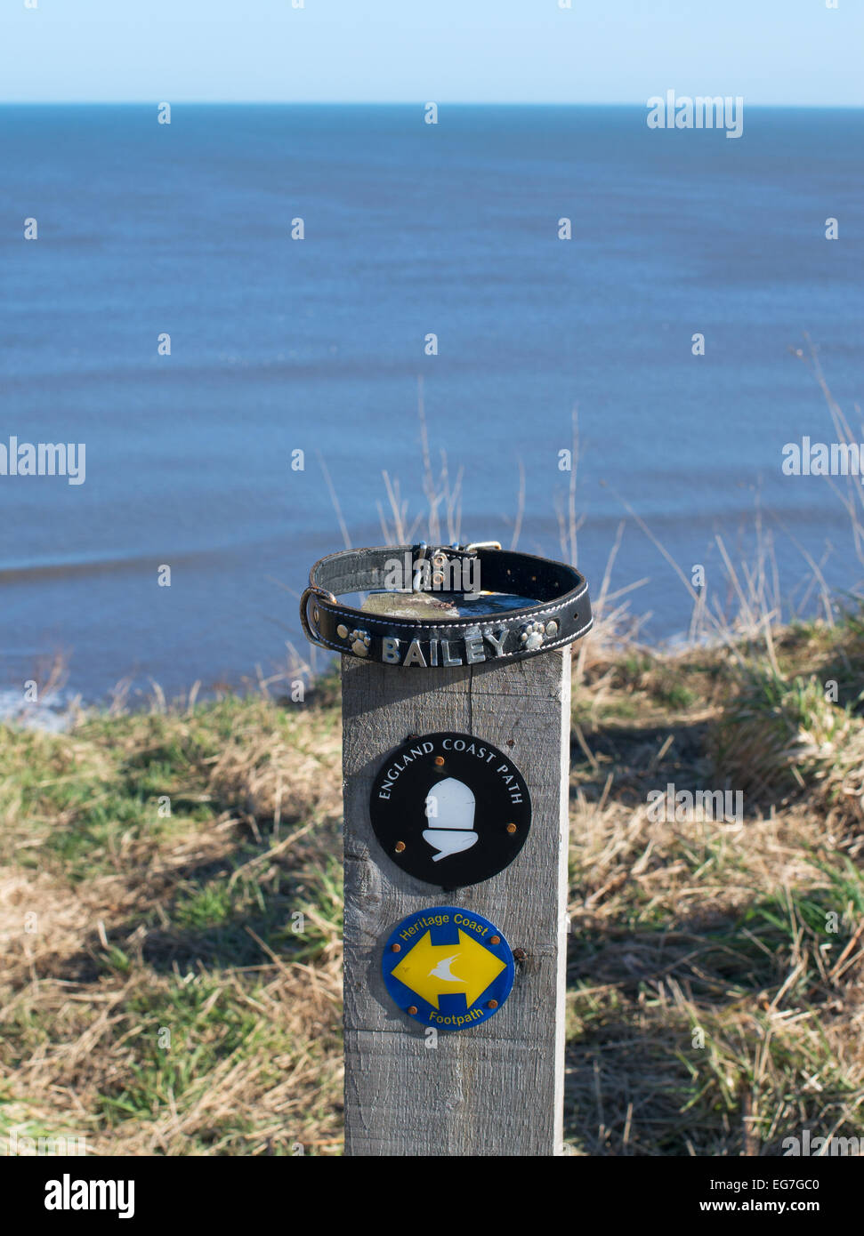 A dog's collar "Bailey" left on a footpath signpost, Blackhall Rocks, County Durham coast, England, UK Stock Photo