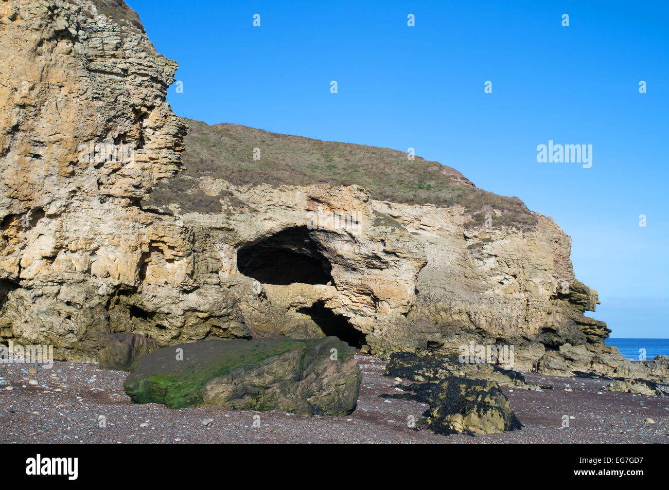 Sea caves at Blackhall Rocks, County Durham coast, England, UK Stock Photo