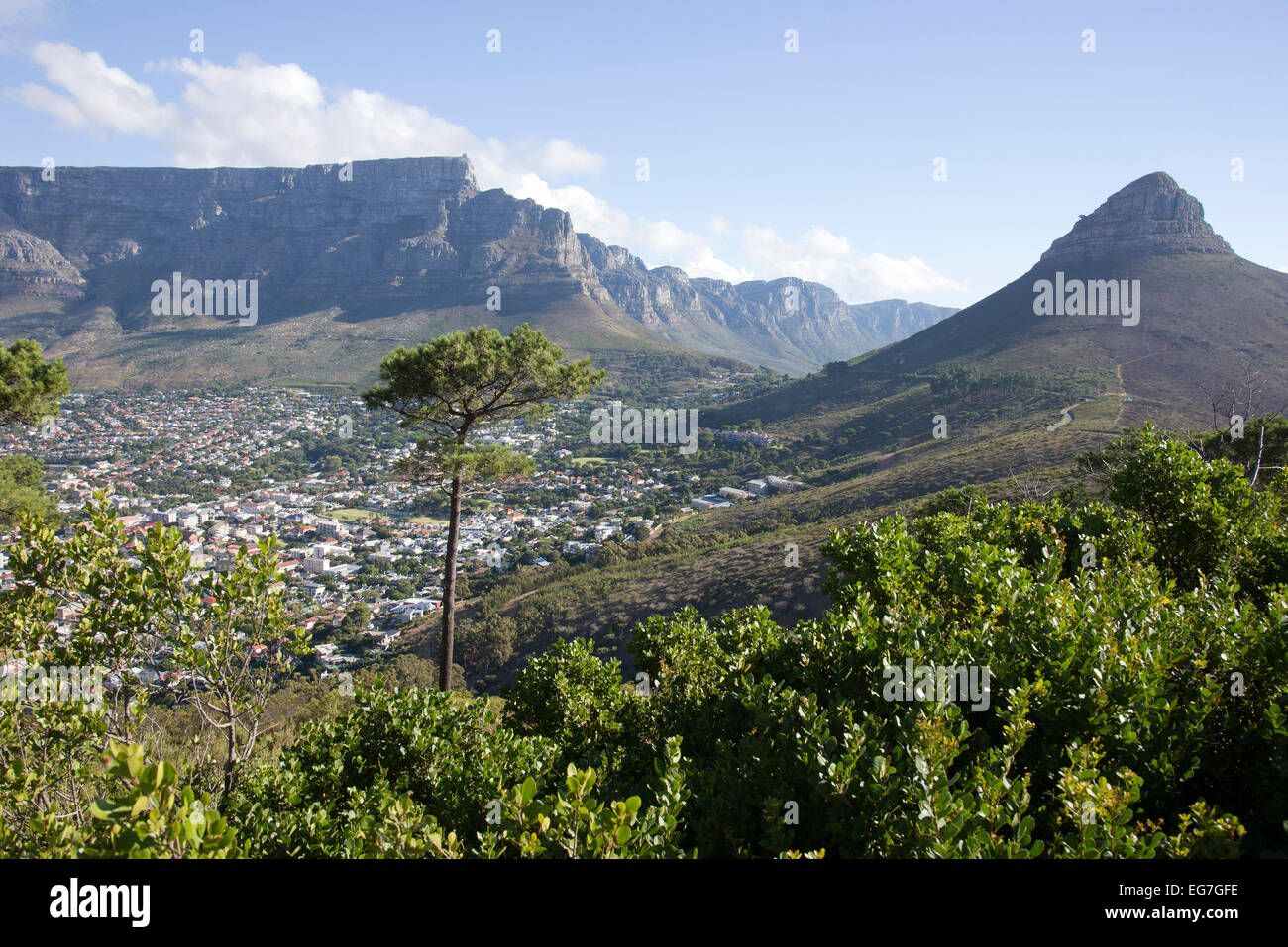 Table Mountain and Lions Head Cape Town South Africa seen from Signal Hill looking towards the 12 Apostles Stock Photo
