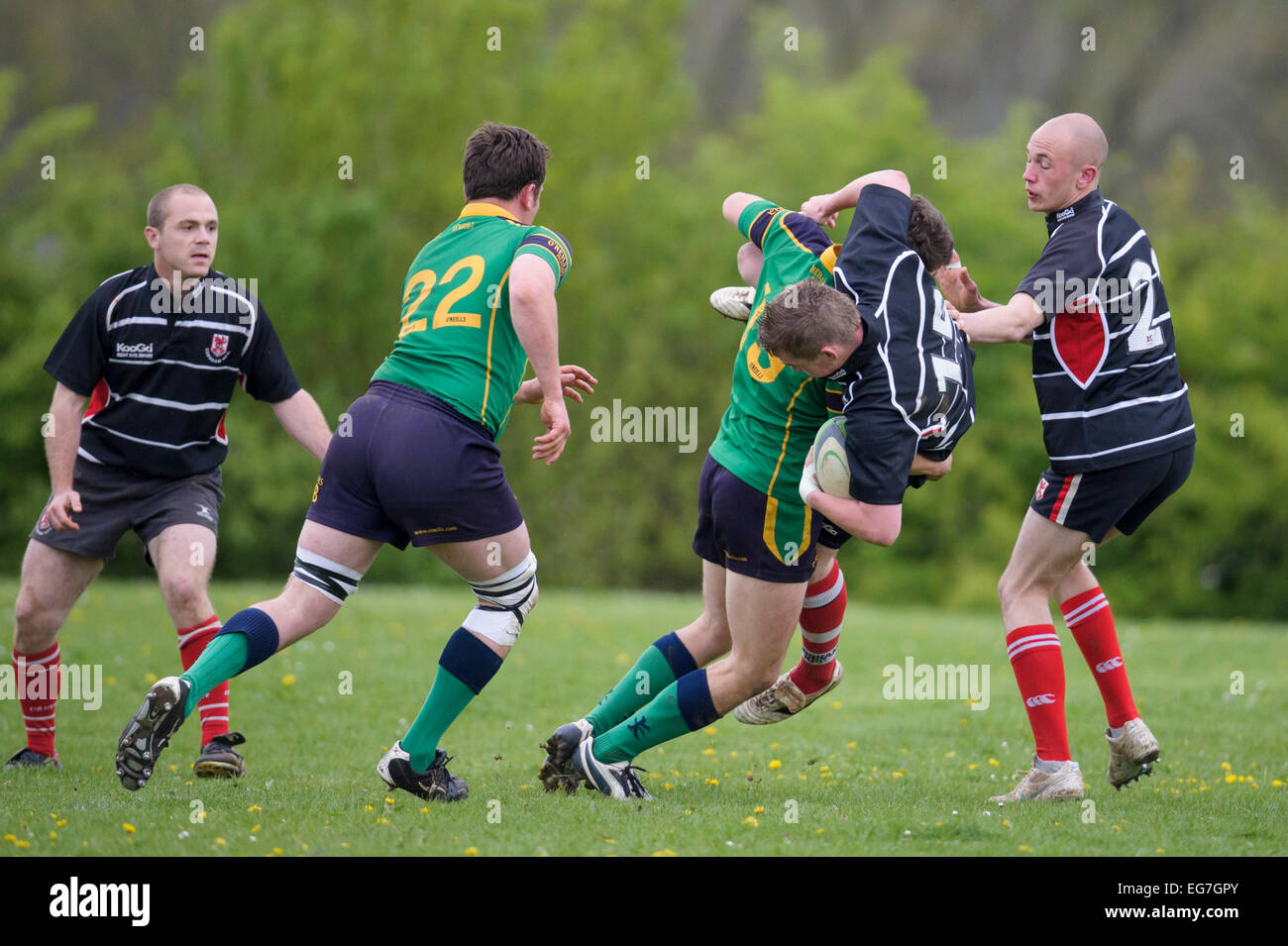 Rugby, player being tackled. Stock Photo