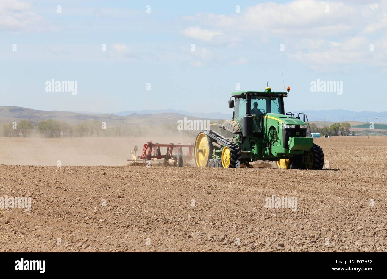 Farmers and field hands use farm machinery in the field harvesting potatoes. Stock Photo