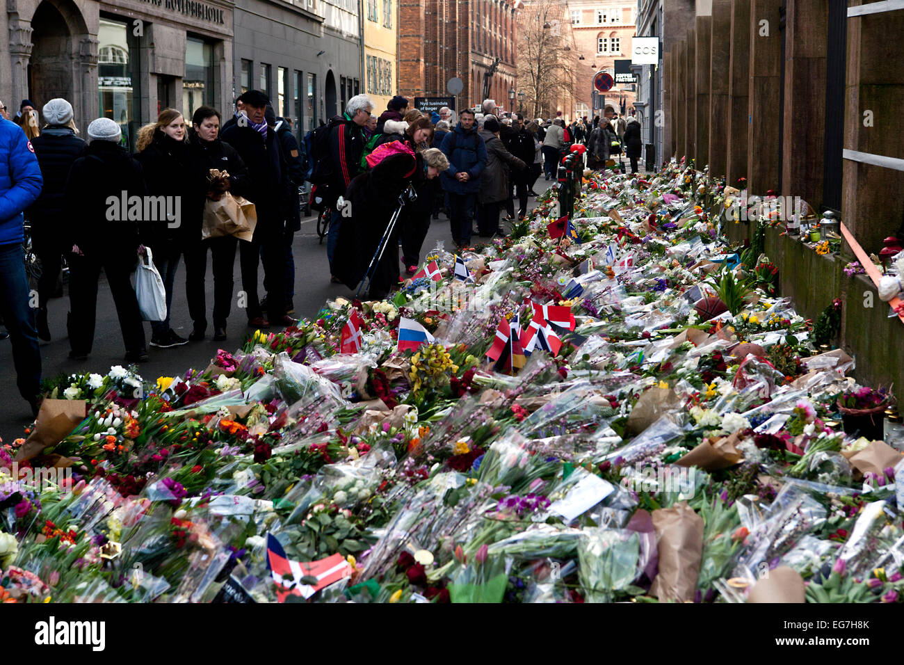 Copenhagen, Denmark, 18 February, 2015: The bed of flower bouquets is growing in front of Copenhagen synagogue.  So is the critics against police: They did not return fire on the perpetrator; Prison Service warned Secret Service against his Islamic Radicalization – he was realized from custody just 2 weeks before his terror attacks;  police did not make correct risk assessments at Krudtonden – the first crime scene – as there was no police outside the venue, so the perpetrator could freely shoot through the windows. So says sources to Danish news media, TV2NEWS Stock Photo