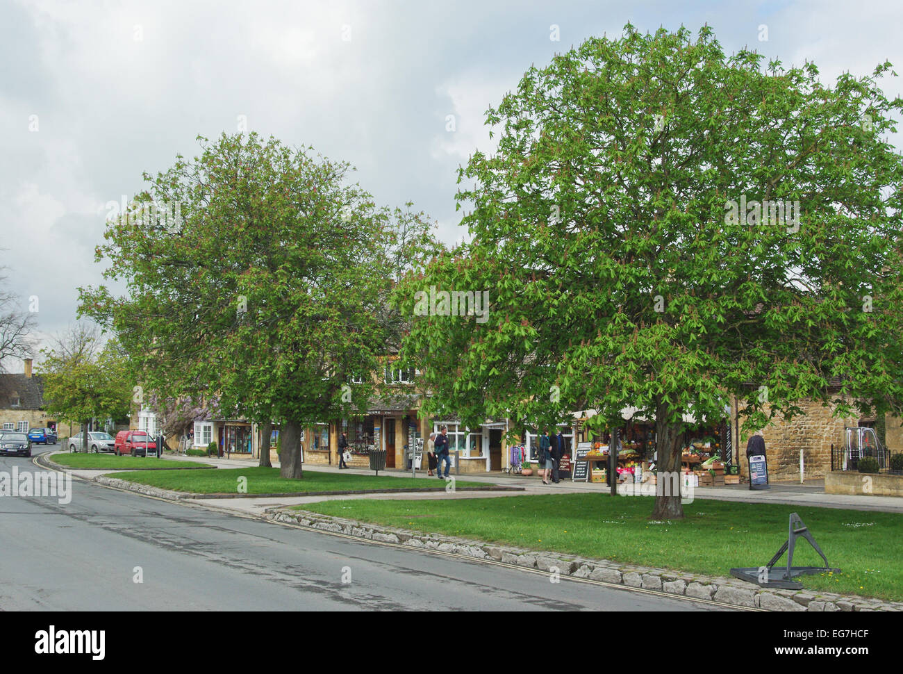 Tree lined street uk hires stock photography and images Alamy