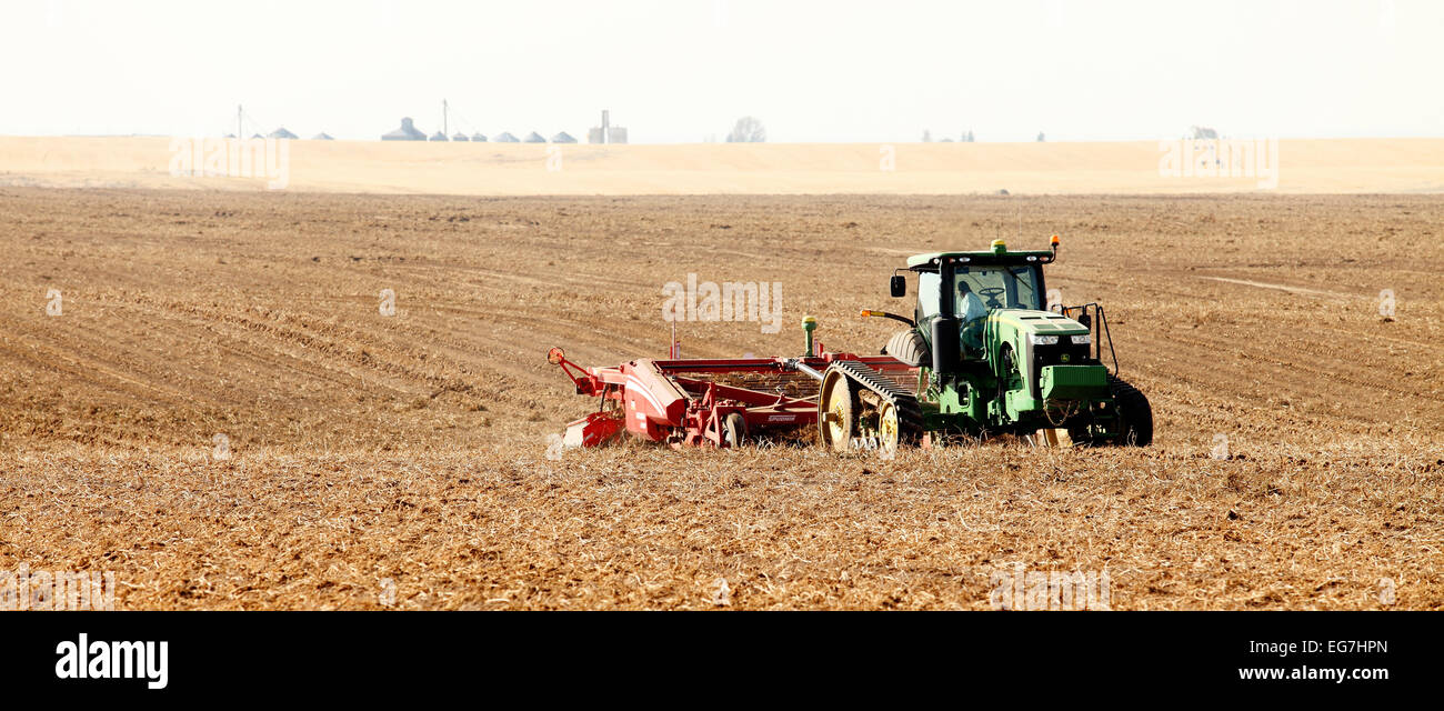 Farmers and field hands use farm machinery in the field harvesting ...