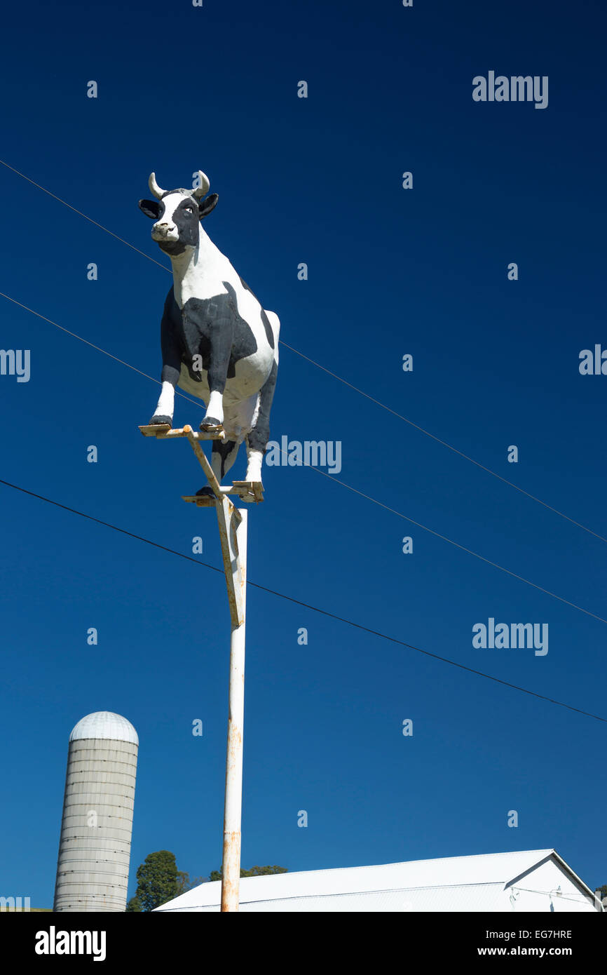 MILK COW SIGN DAIRY FARM SMICKSBURG INDIANA COUNTY PENNSYLVANIA USA Stock Photo