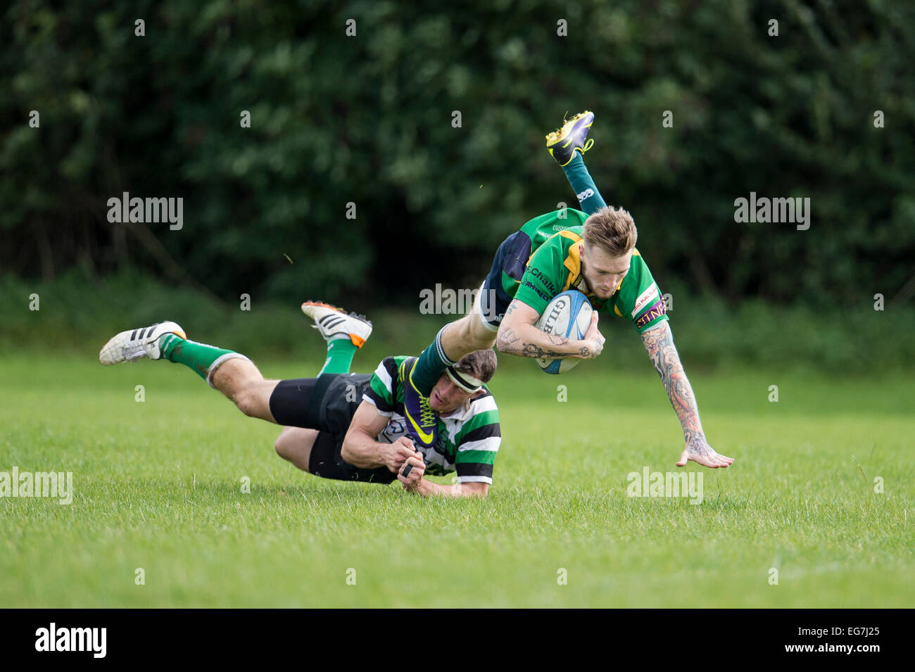 Rugby, player being tackled. Stock Photo