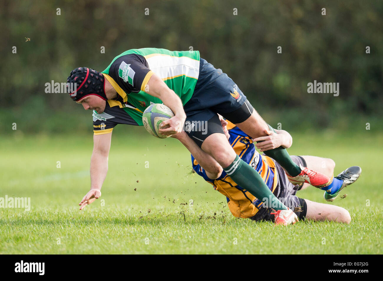 Rugby, player being tackled. Stock Photo