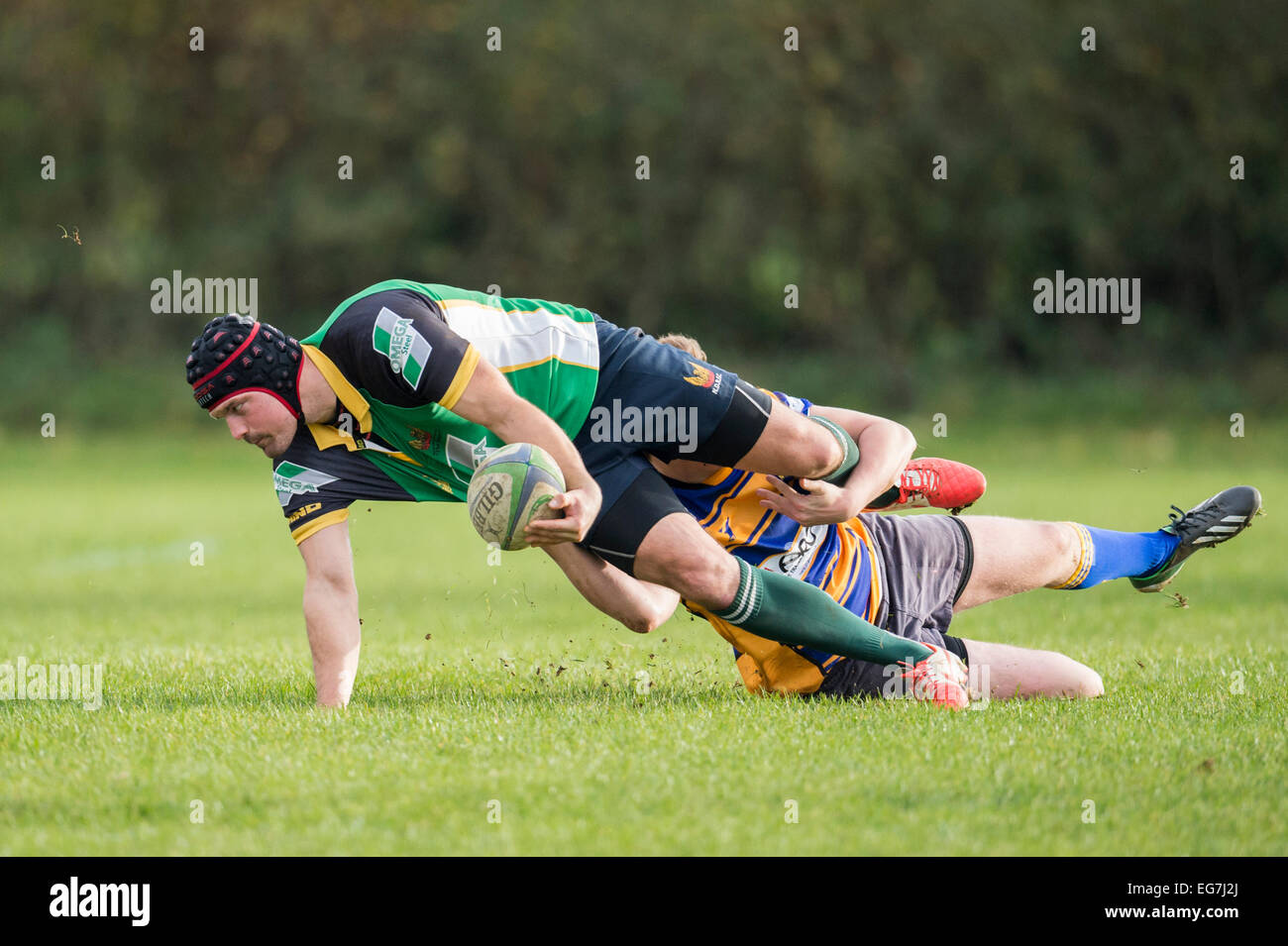 Rugby, player being tackled. Stock Photo