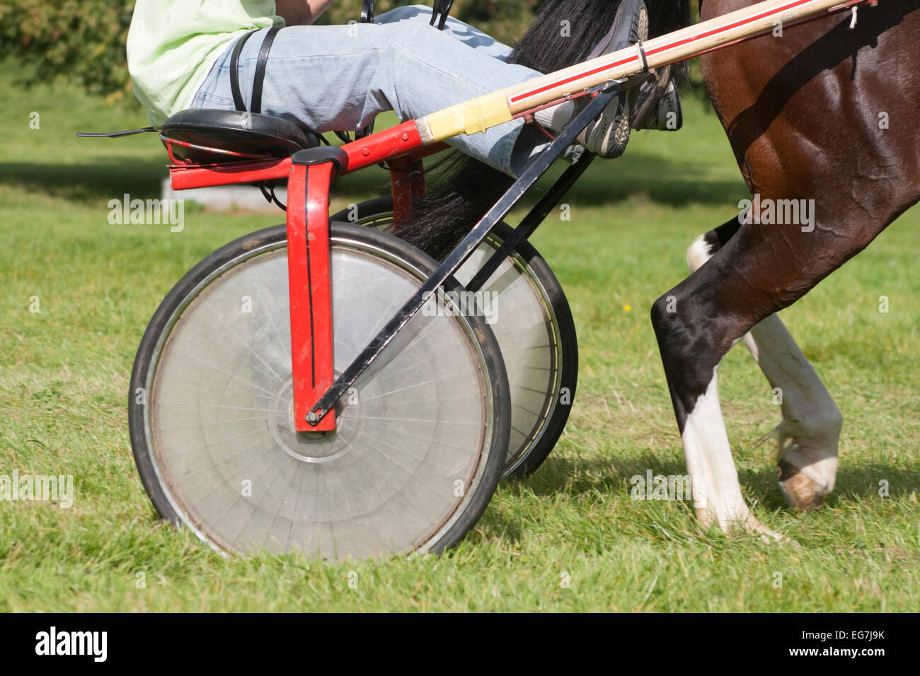 Sulkie wheel spinning on Gypsy cart Stock Photo Alamy