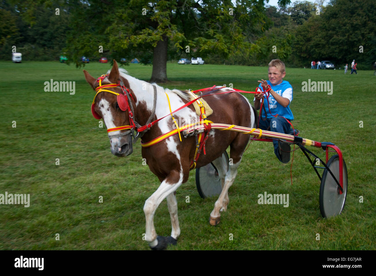 Gypsy Traveler boy riding on Sulkie - Stock Image