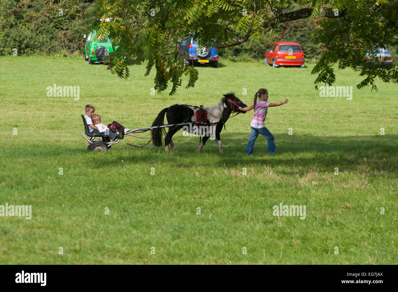 Gypsy Traveler children playing on Sulkie - Stock Image