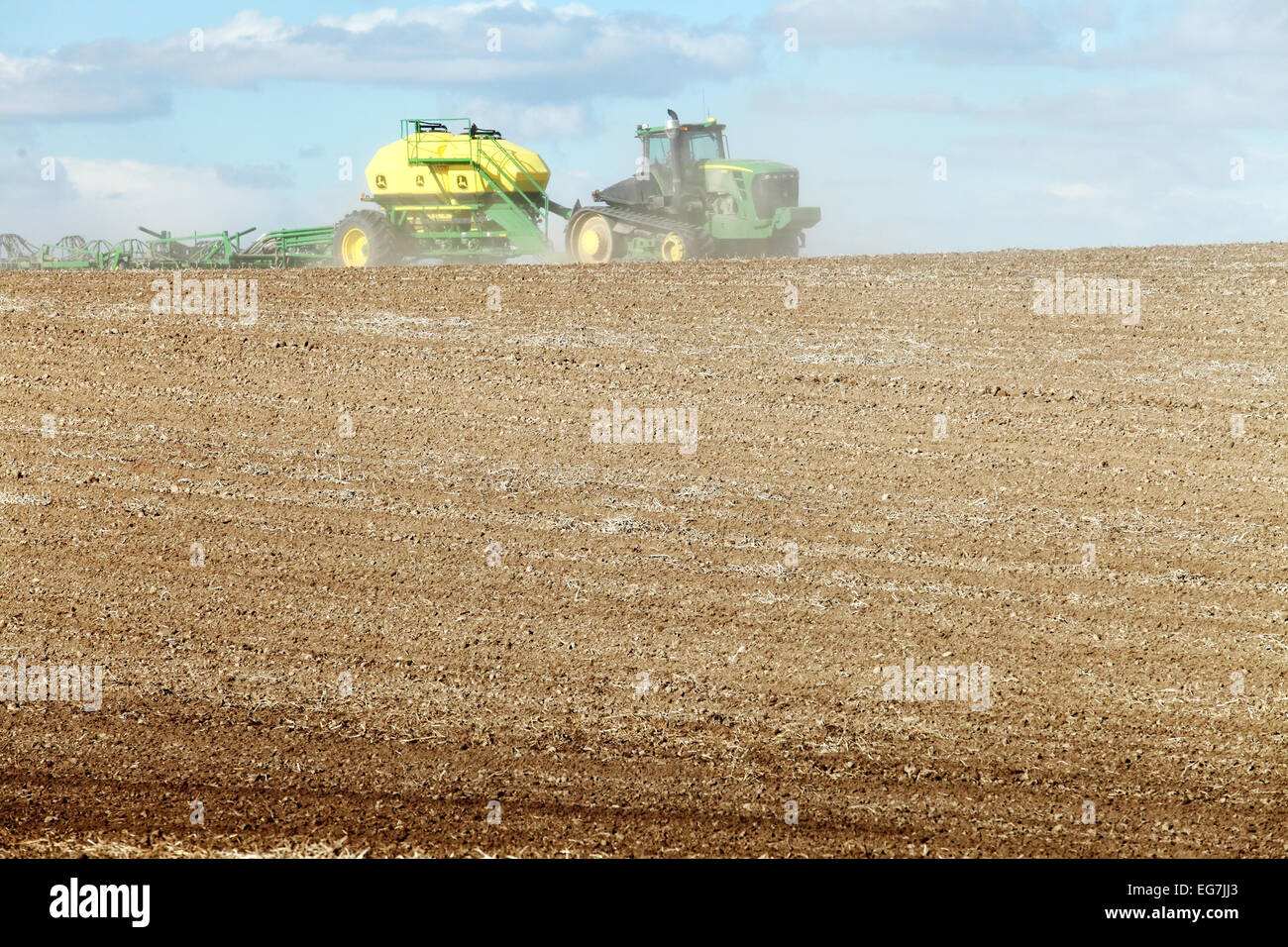 Planting wheat Stock Photo