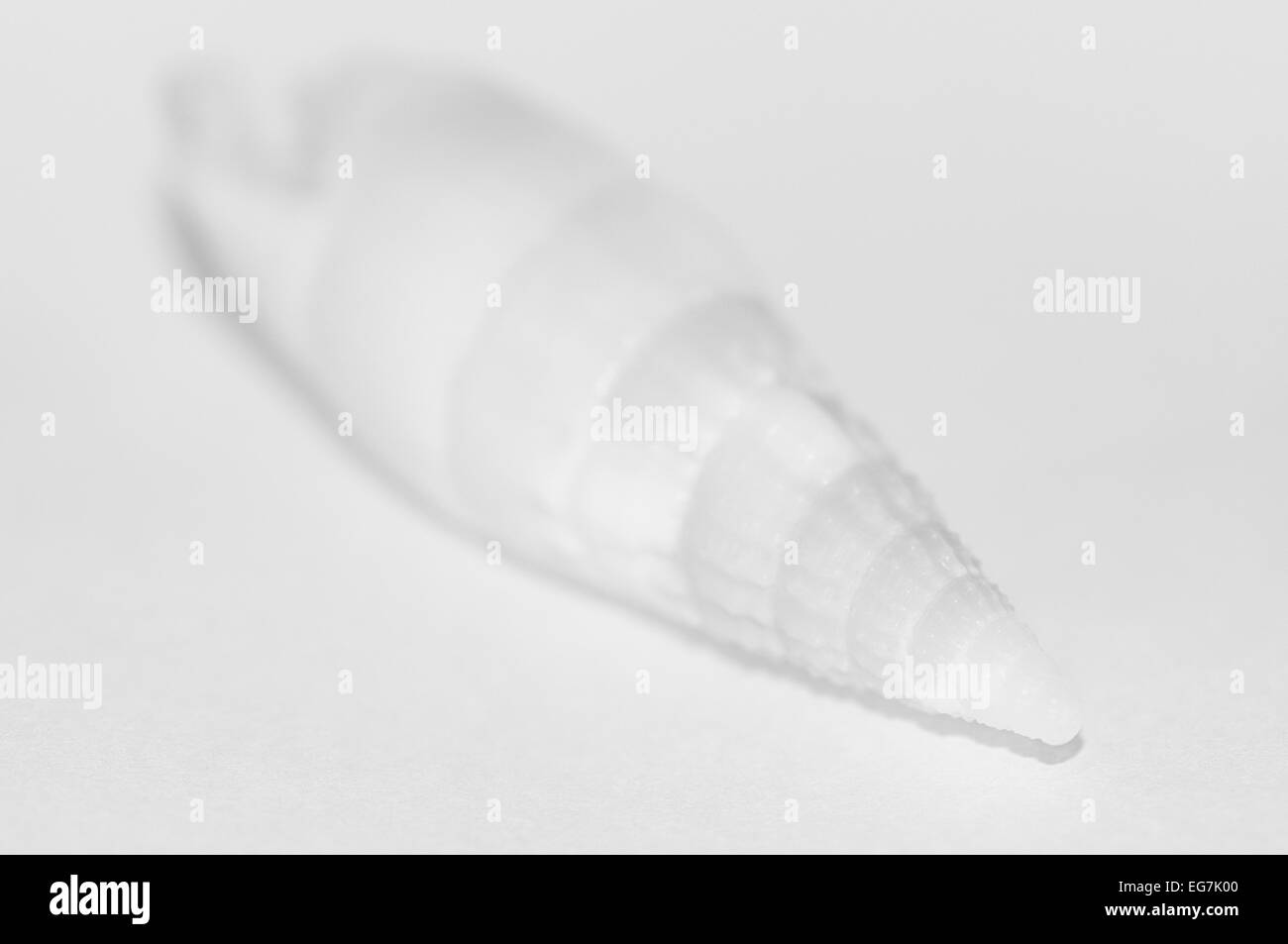 Cone shell hires stock photography and images Alamy