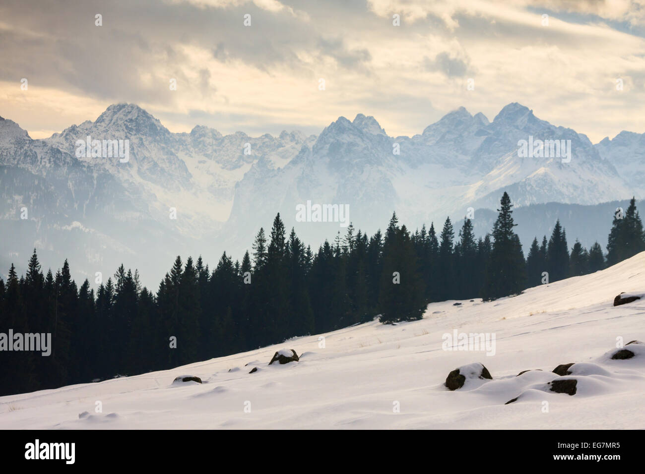 Winter view of frozen surface of High Tatra mountains Stock Photo - Alamy