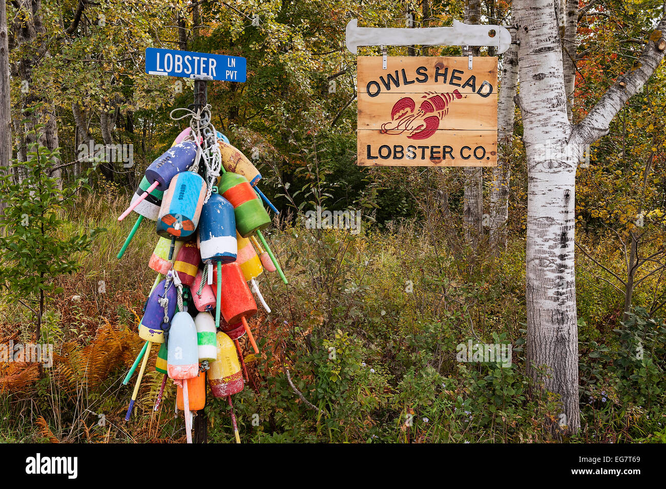 Lobster buoys, Owls Head, Maine, USA Stock Photo Alamy