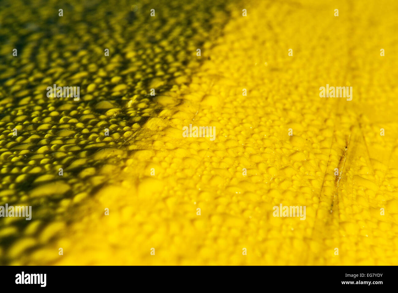 Water beading up on a yellow plastic surface. Stock Photo