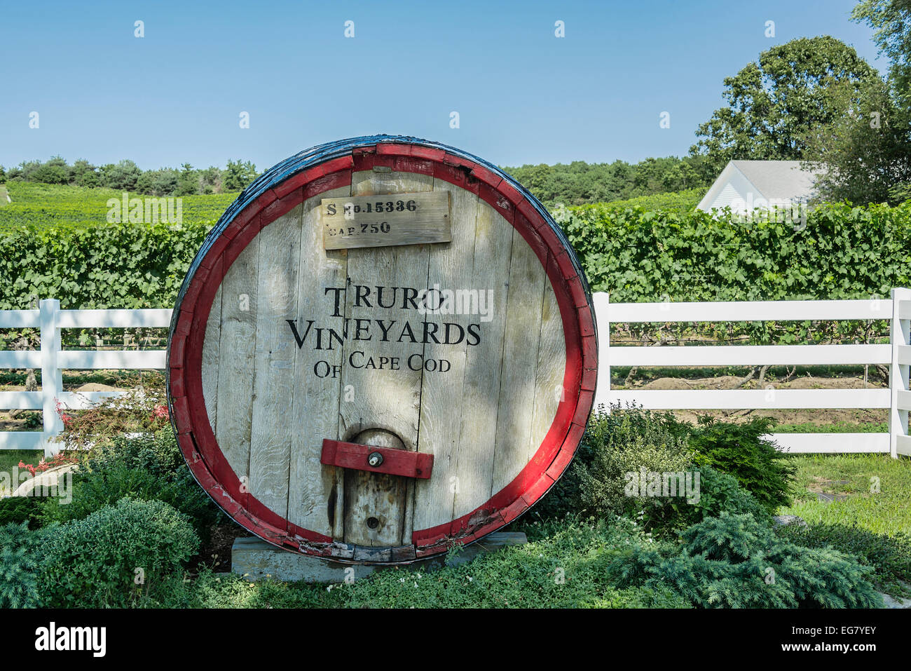 Truro Vineyards, Cape Cod, Massachusetts, USA Stock Photo