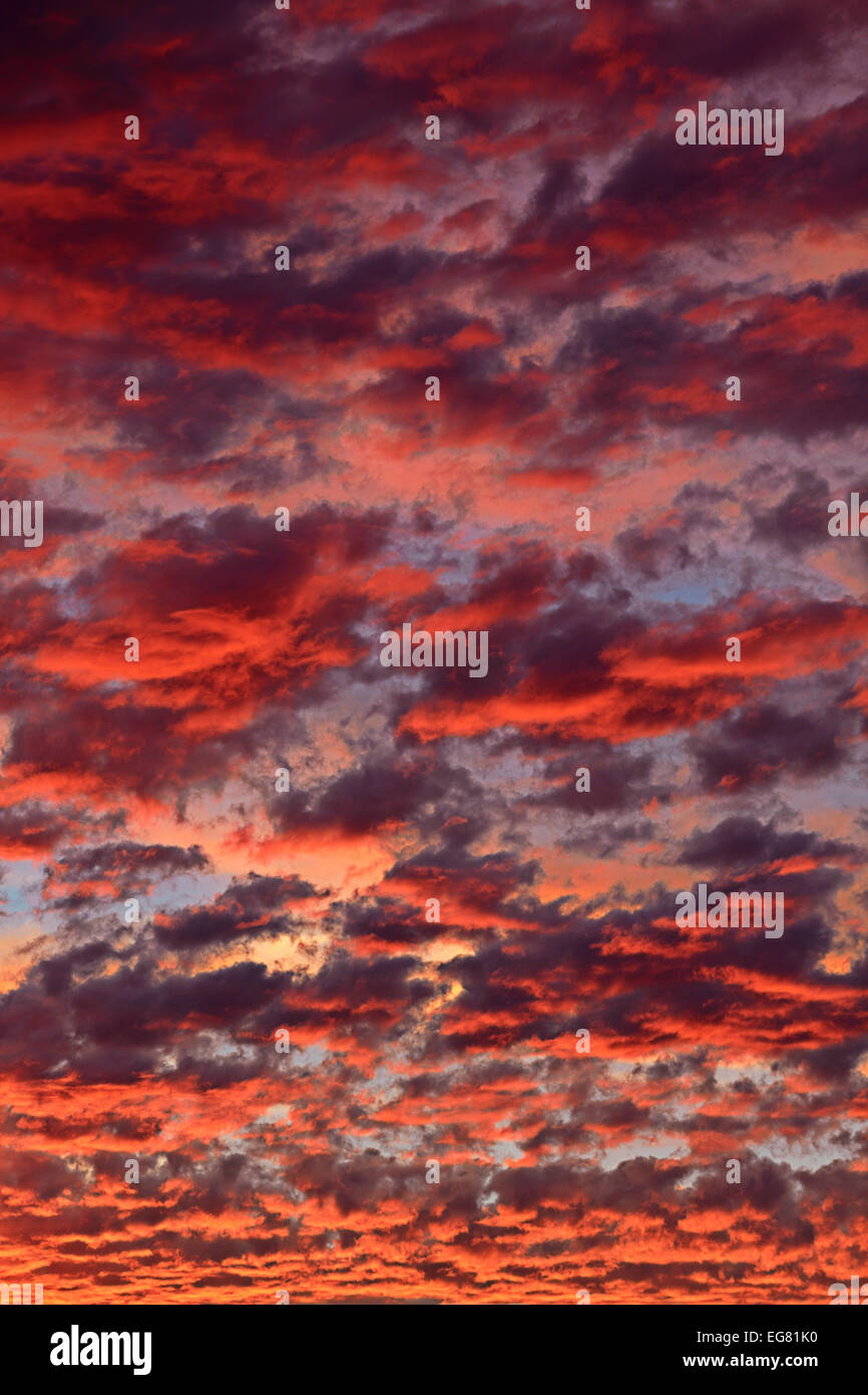 Clouds On Sunset Sky Background Stock Photo Alamy