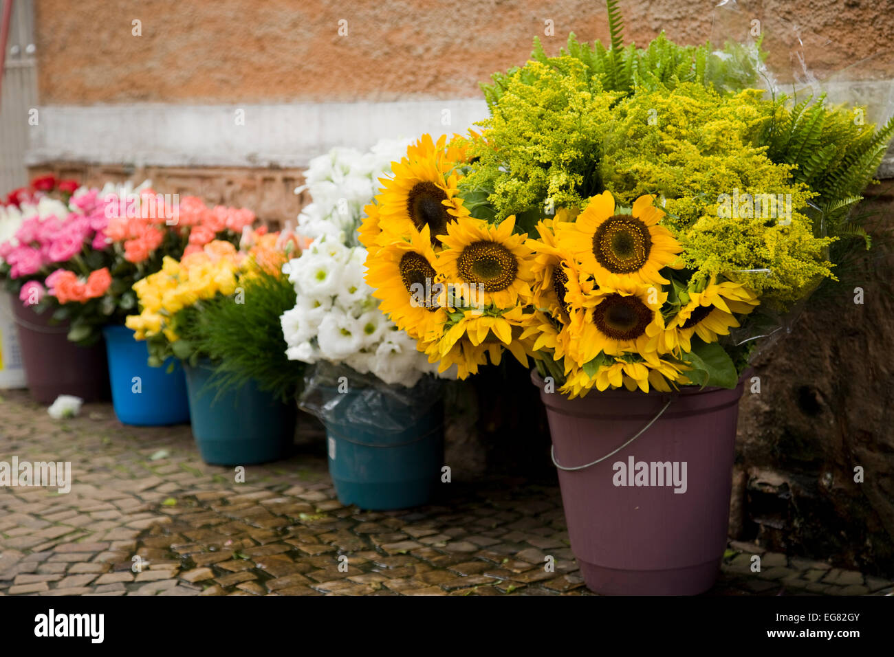 Bunches of flowers for sale on the streets of Sao Paulo, Brazil. Sunflowers are in sharp focus with roses in background. Stock Photo