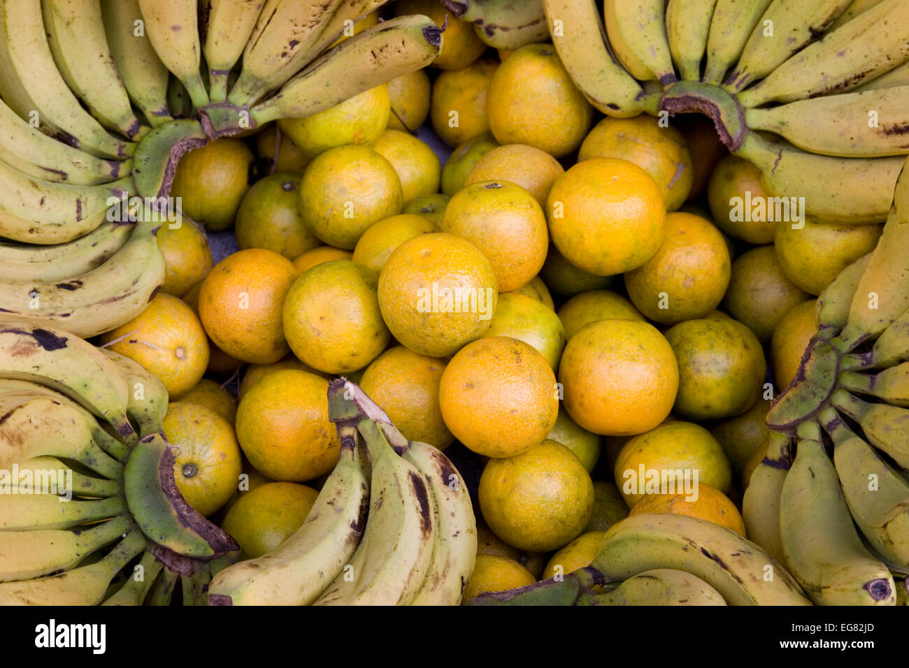 Oranges, bananas and Sweet limes for sale at a street market in Mumbai, India. Stock Photo