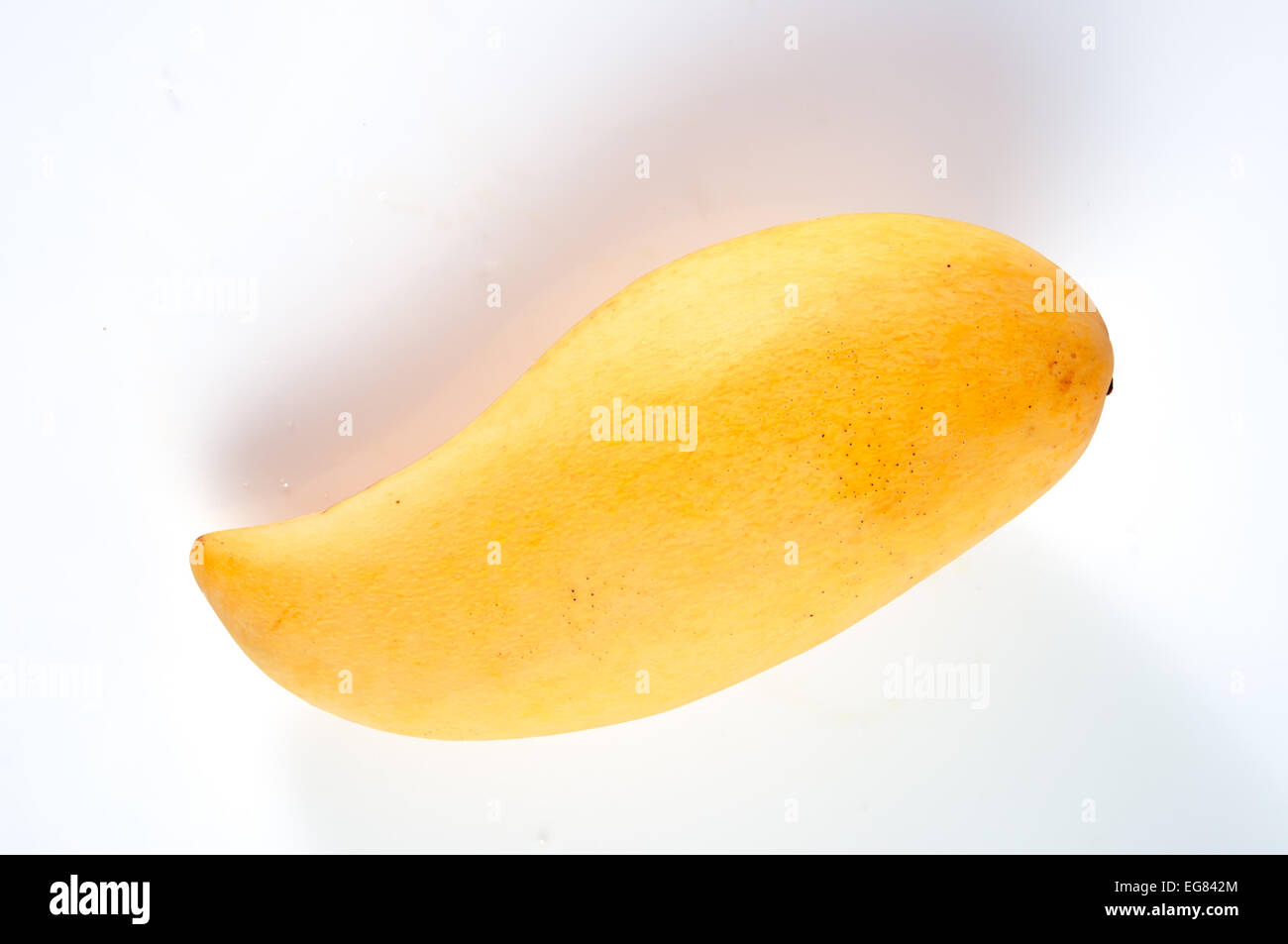 Ripe mangoes on white background Stock Photo - Alamy