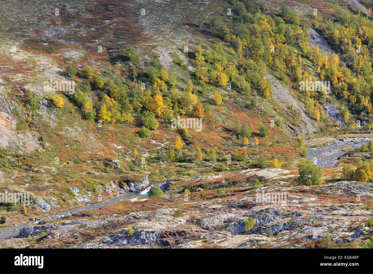 Fjell landscape in autumn, Rondane National Park, Norway Stock Photo