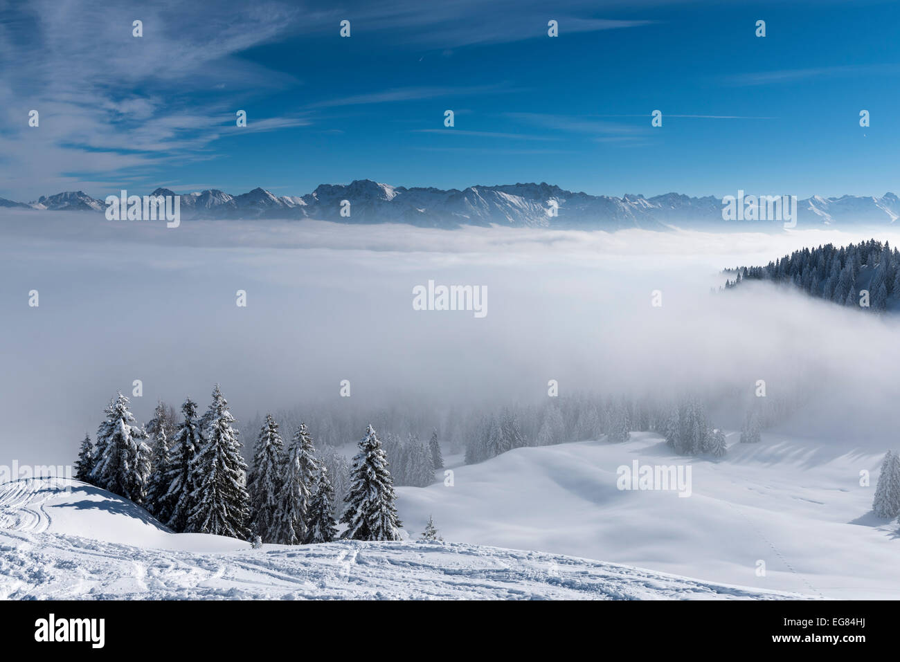 Fog covered forest mountain hi-res stock photography and images - Alamy