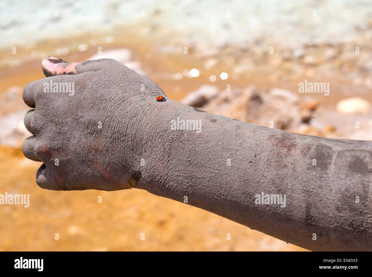 Ladybug lands on a mud covered arm. Photographed at the Dead Sea, Israel Stock Photo